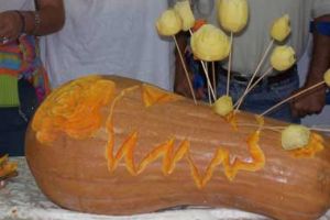 zucca